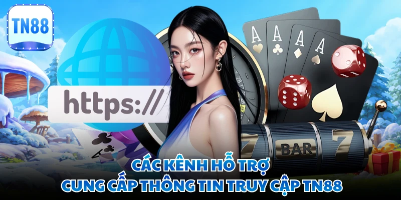 Các kênh hỗ trợ cung cấp thông tin truy cập TN88