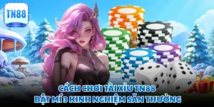 Cách Chơi Tài Xỉu TN88 - Bật Mí 3 Kinh Nghiệm Săn Thưởng