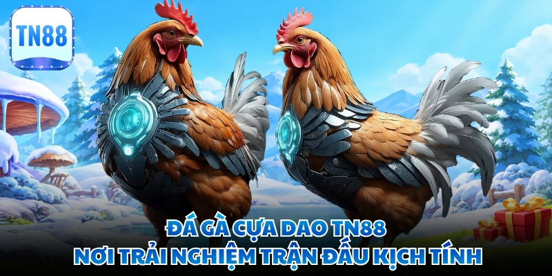 Đá Gà Cựa Dao TN88 - Nơi Trải Nghiệm Trận Đấu Kịch Tính 
