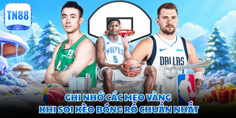 Ghi nhớ các mẹo vàng khi soi kèo bóng rổ chuẩn nhất