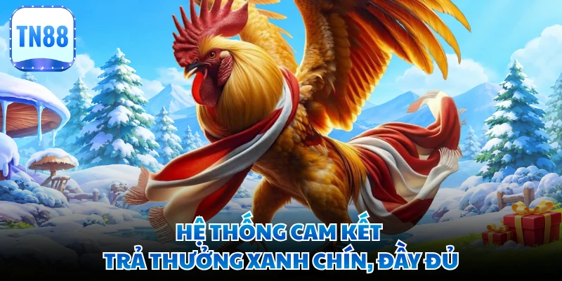 Hệ thống cam kết trả thưởng xanh chín, đầy đủ