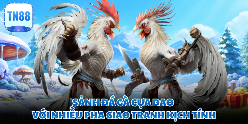 Sảnh đá gà cựa dao với nhiều pha giao tranh kịch tính